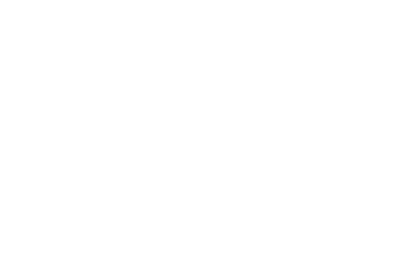 Logo 24