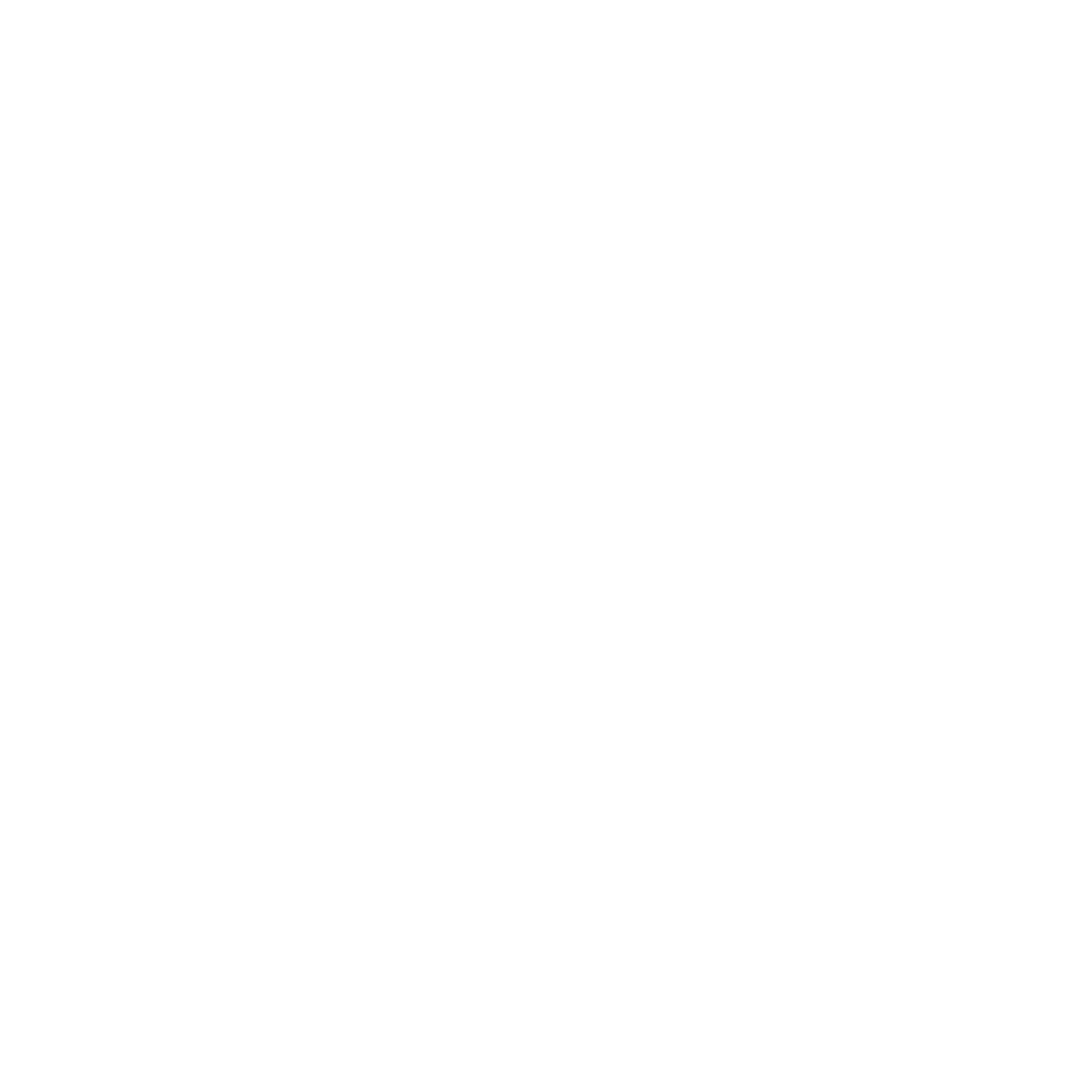 Logo 30